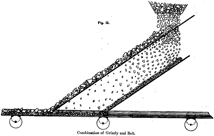 combination-of-grizzly-belt