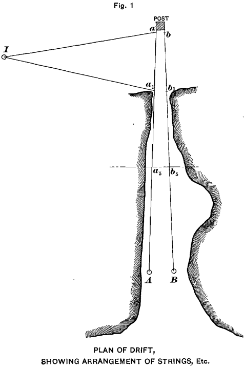 plant-of-drift