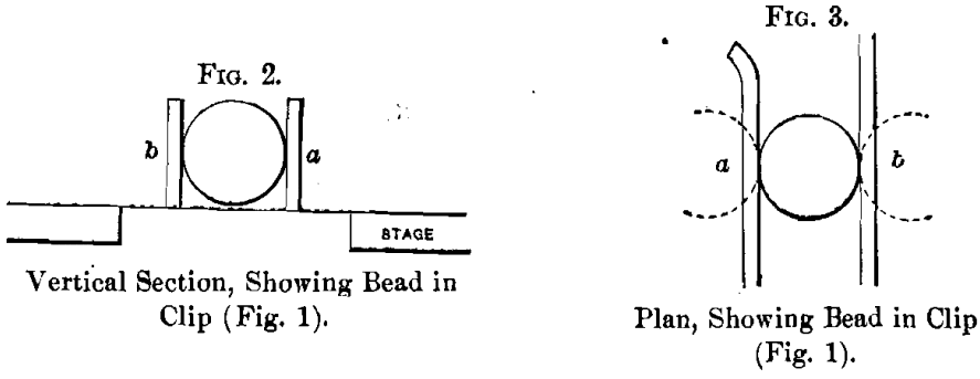 vertical-section-showing-bead-in-clip