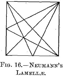 neumanns-lamallae