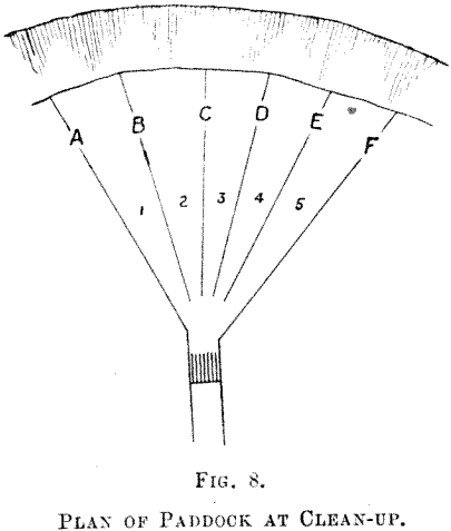 plan-of-paddock-at-clean-up