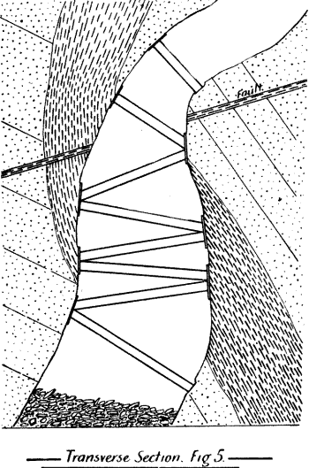 transverse-section