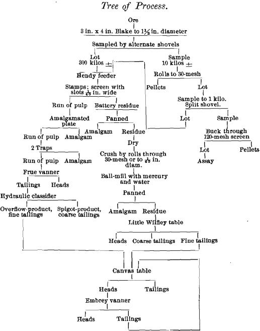 tree-of-process