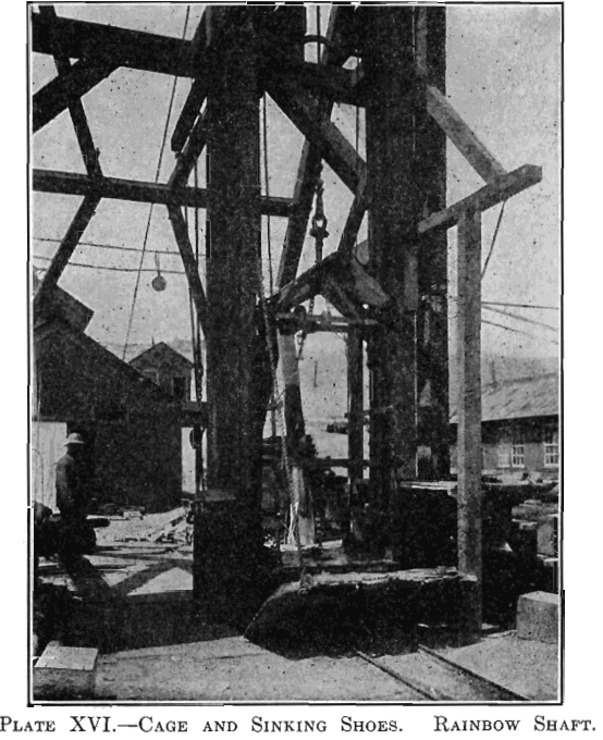 plate xvi cage and sinking shoes