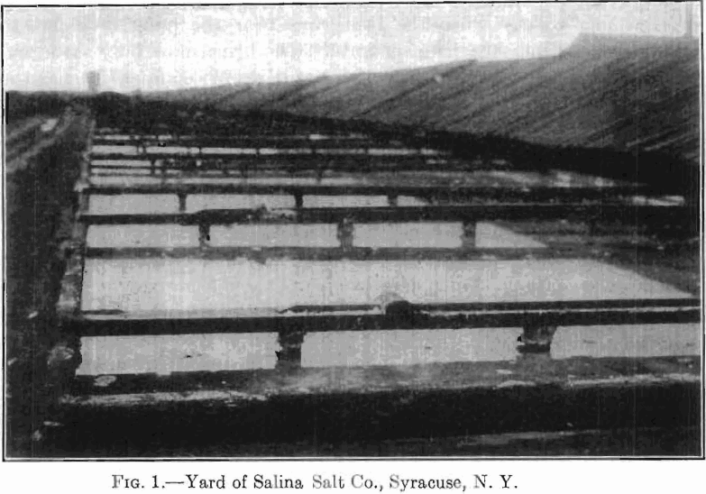 yard of salina salt co.