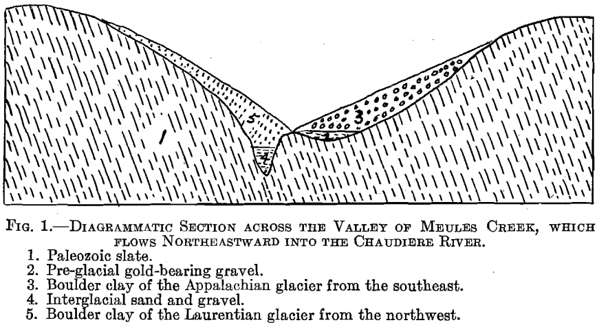 diagrammatic-section