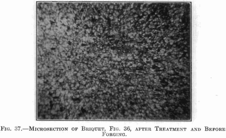 microsection-of-briquet