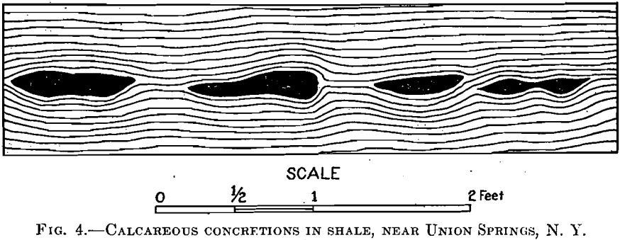 vein-formation-mechanics-calcerous-concentration