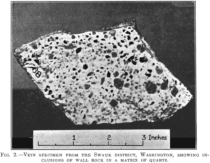 vein-formation-mechanics-specimen