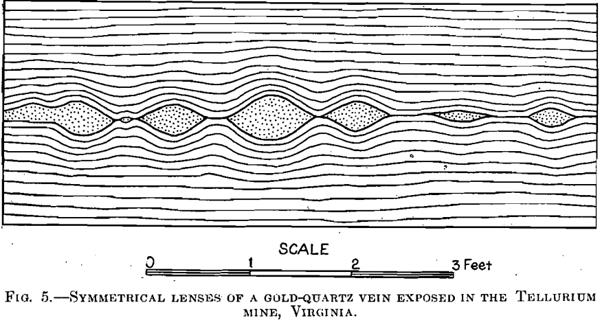 vein-formation-mechanics-symmetrical-lenses