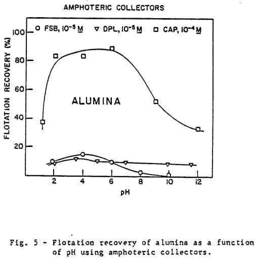 amphoteric-collectors