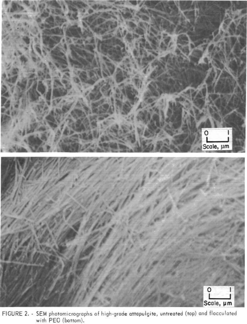 flocculation-dewatering-clay-sem-photomicrographs