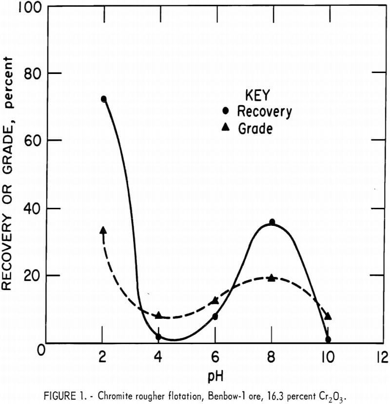 chromite-rougher-flotation-benbow