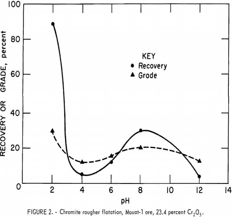 chromite-rougher-flotation-mouat