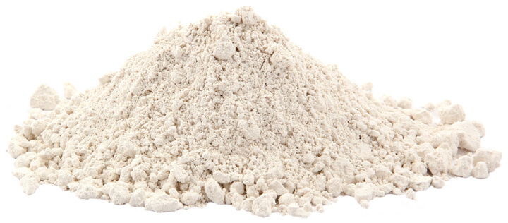 diatomaceous earth