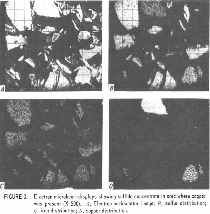 electron microbeam displays showing sulfide concentrate