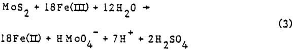 acid-leaching-molybdenite