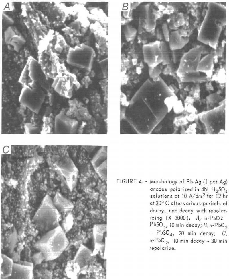 electrowinning morphology anodes