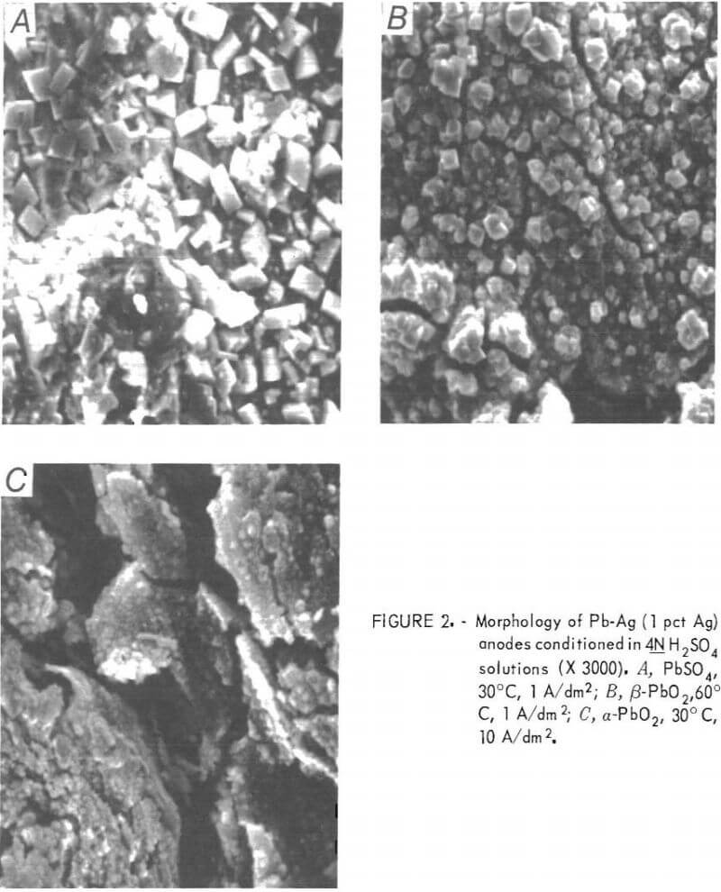 electrowinning morphology