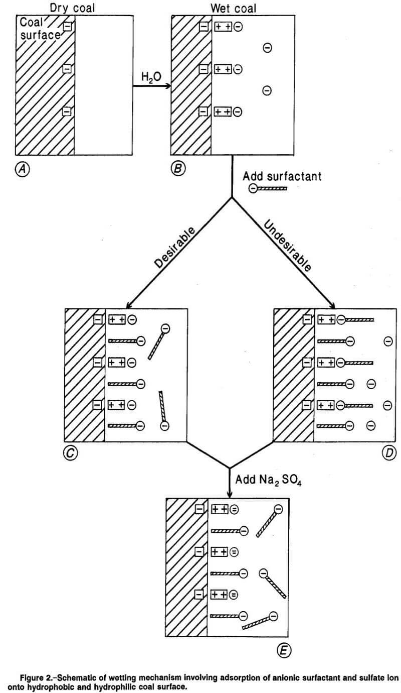 anionic surfactants wetting mechanism