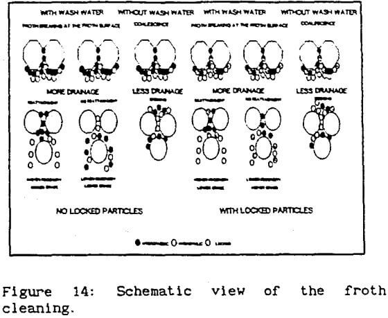 froth-flotation-cleaning