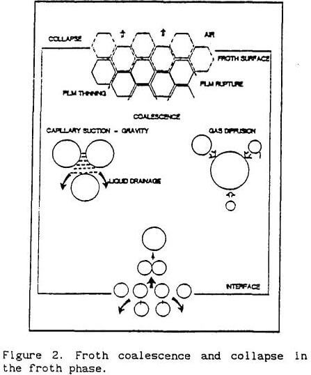 froth flotation coalescence