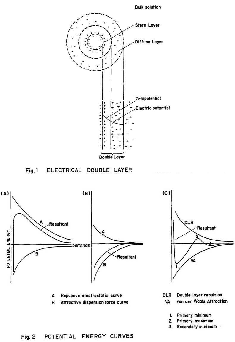 hydrophobic-particle potential energy curves