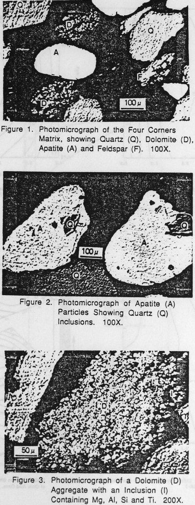 flotation process photomicrograph