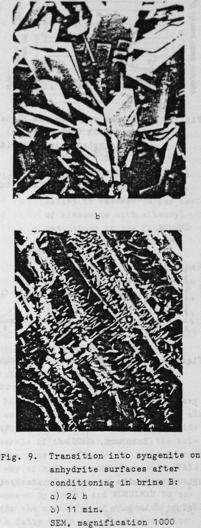 collector adsorption transition