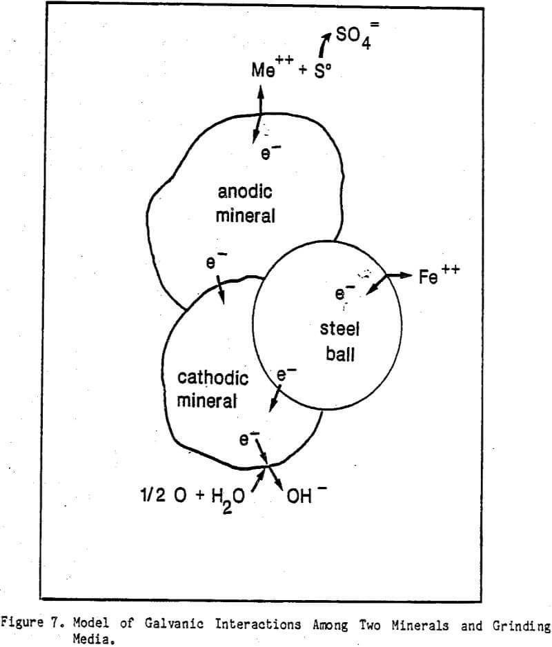 flotation model of galvanic interactions