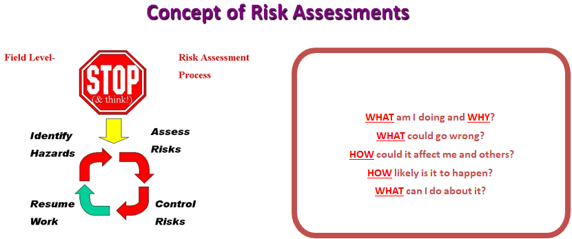 cyanide concept of risk assessments