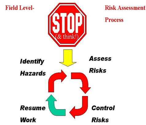 cyanide safety risk assessment