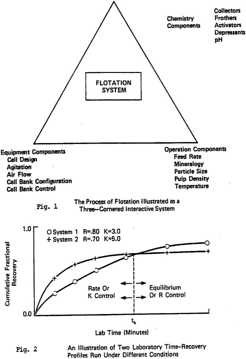 flotation circuit process