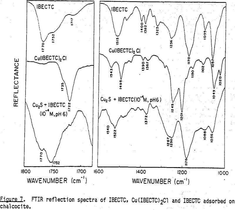 flotation ibectc adsorbed on chalcocite