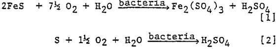 bioleaching-equation