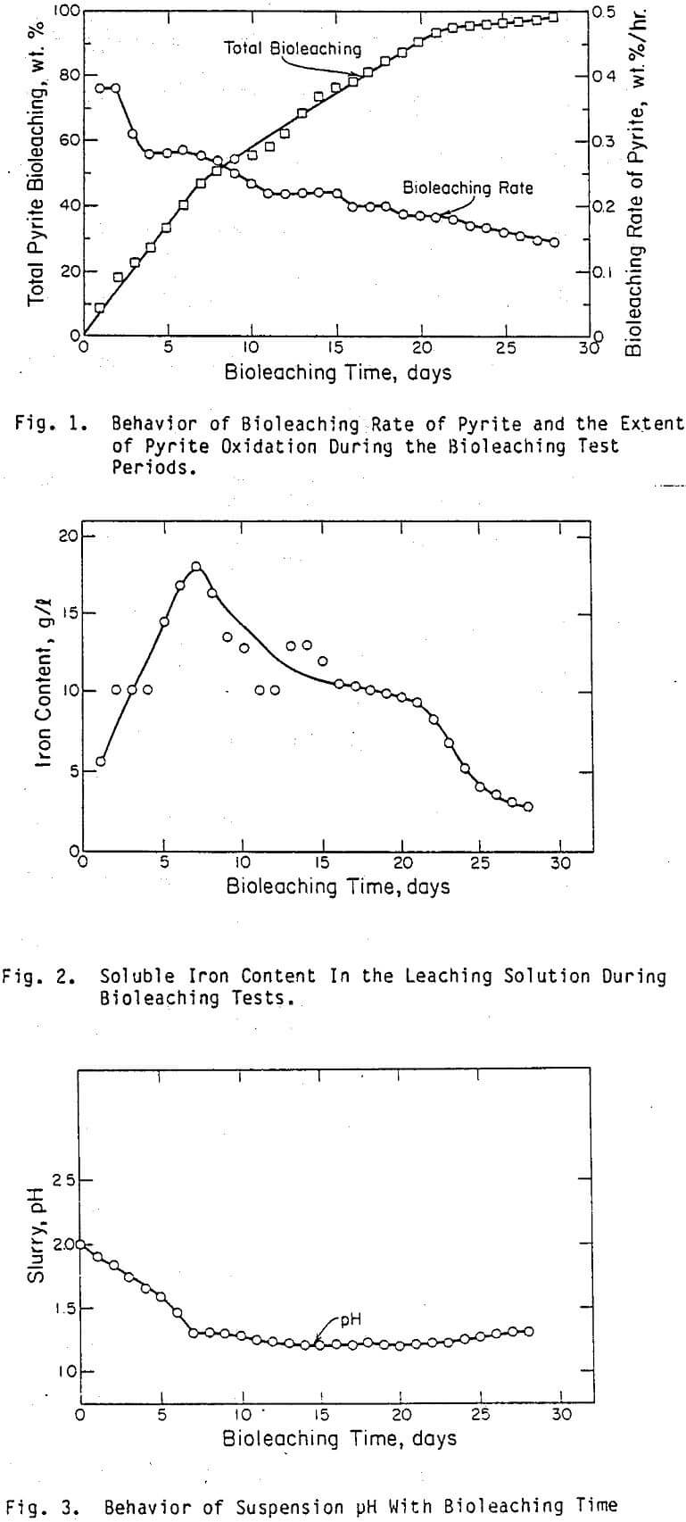 bioleaching rate of pyrite