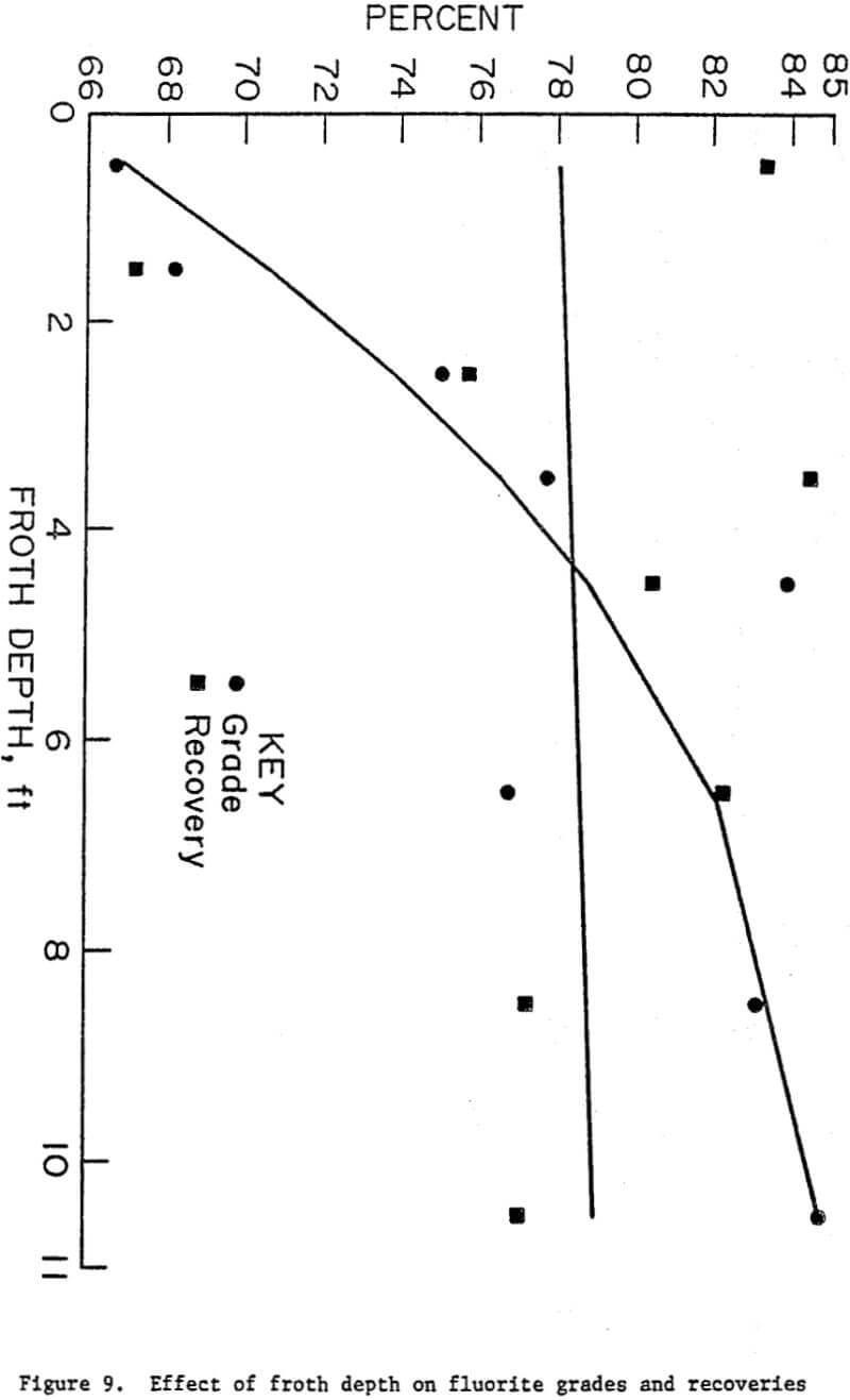 column-flotation effect of froth