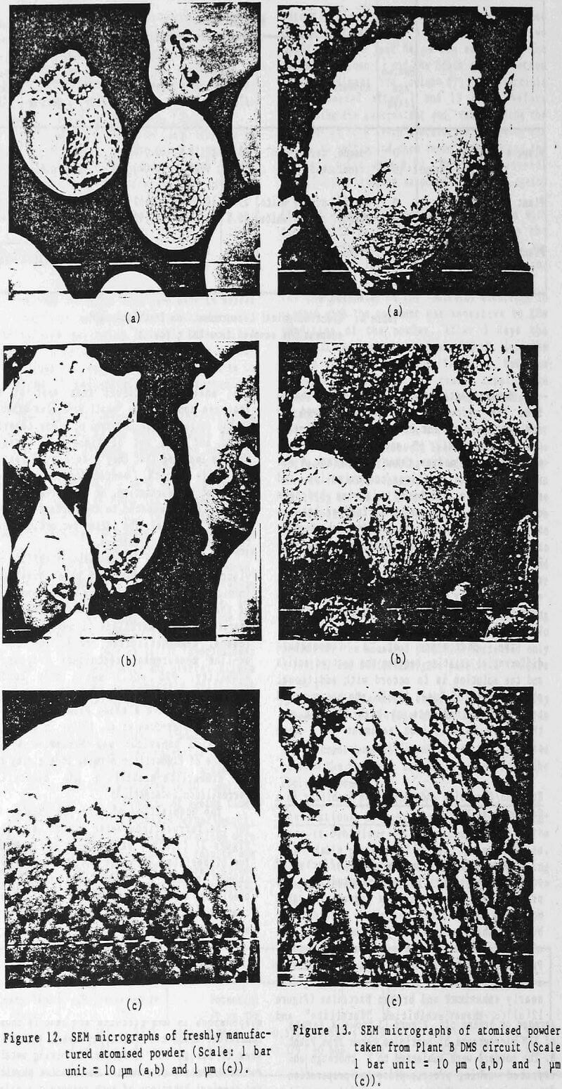 ferrosilicon-suspensions sem micrographs