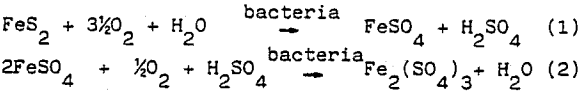 mineral-processing-bioleaching-equation