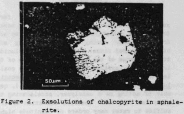 mineral-processing-exsolution-of-chalcopyrite