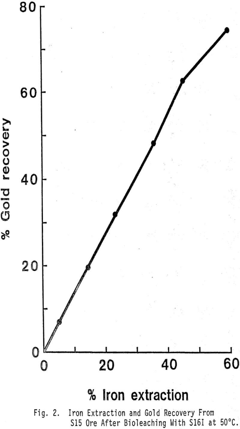 refractory sulfide and carbonaceous gold ores iron extraction bioleaching