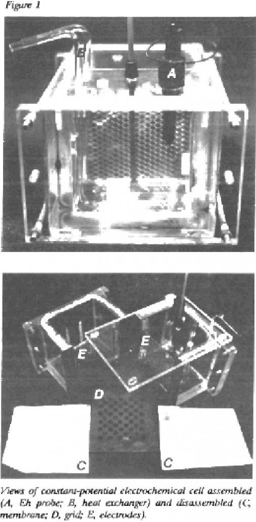 chalcopyrite leaching views of constant-potential electrochemical cell assembled