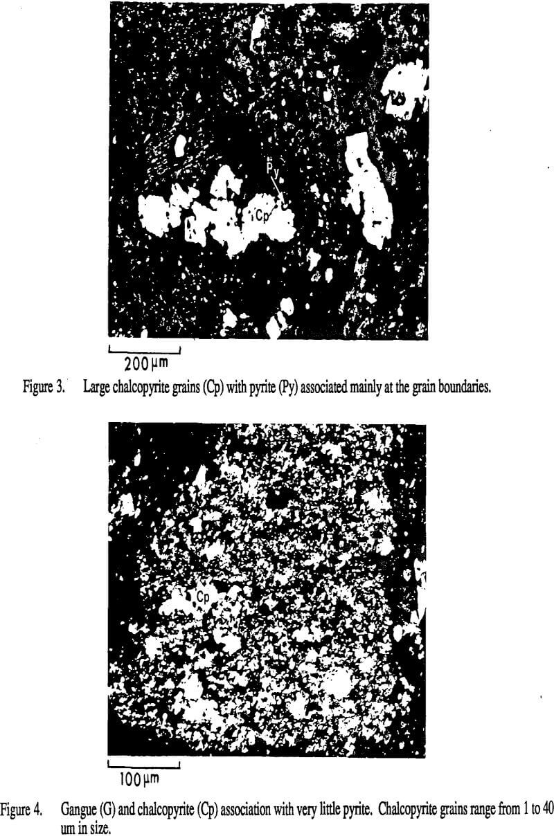 column flotation large chalcopyrite grains