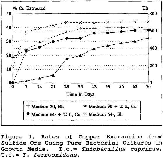 copper-bioleach rates of extraction