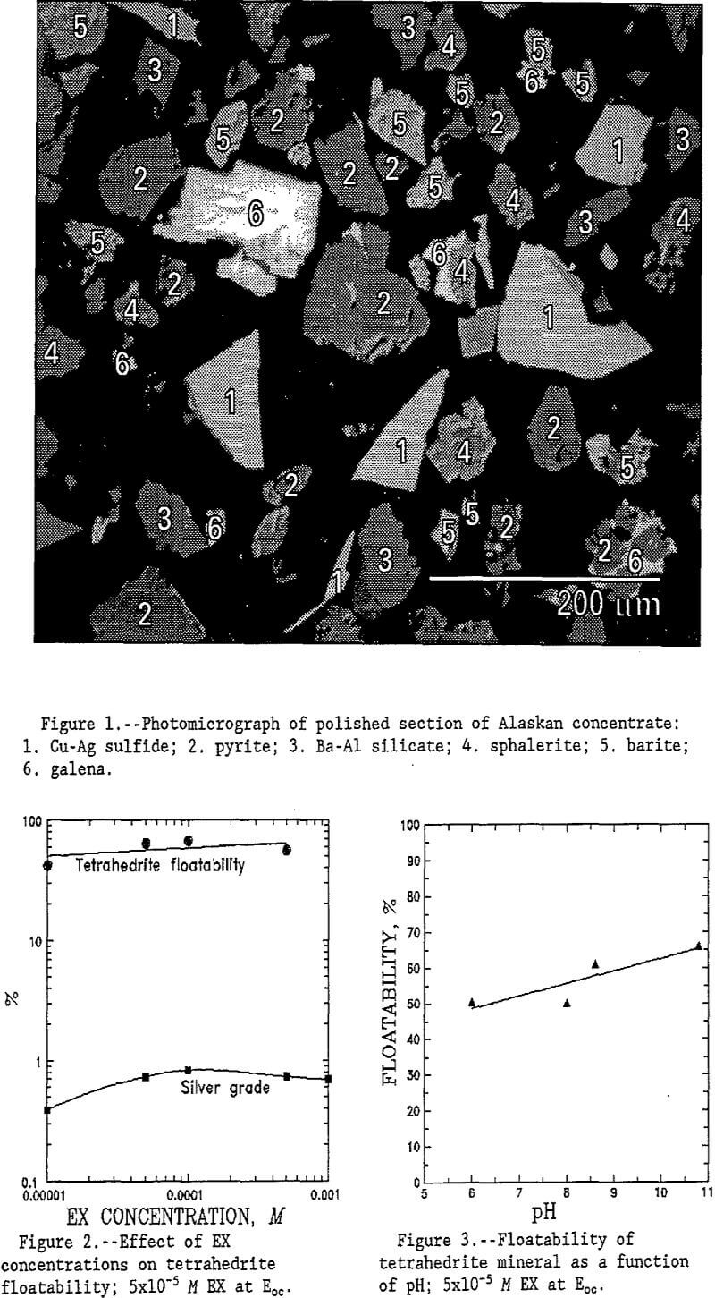 flotation photomicrograph of polished section