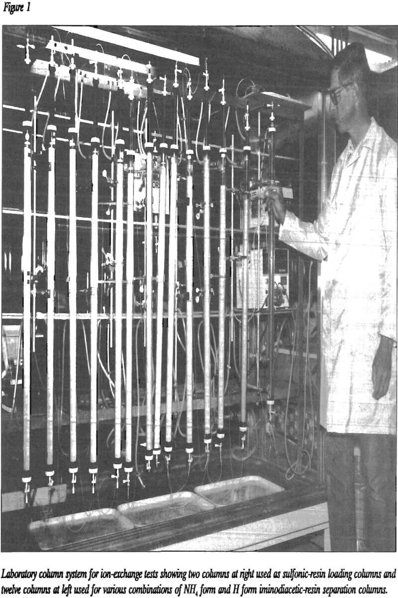 rare-earth-elements ion exchange tests