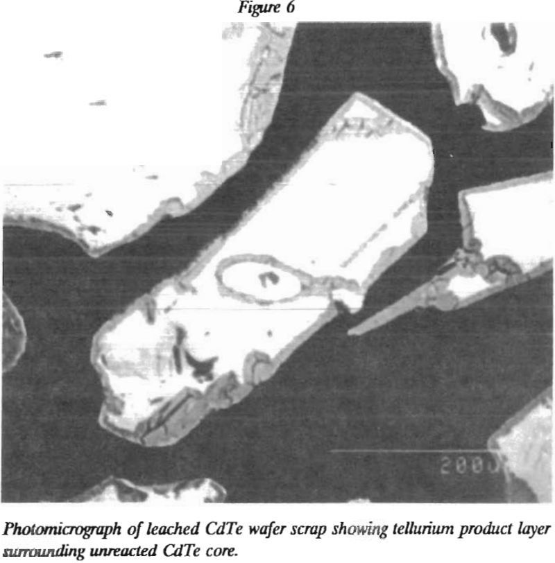 recovering cadmium tellurium photomicrograph