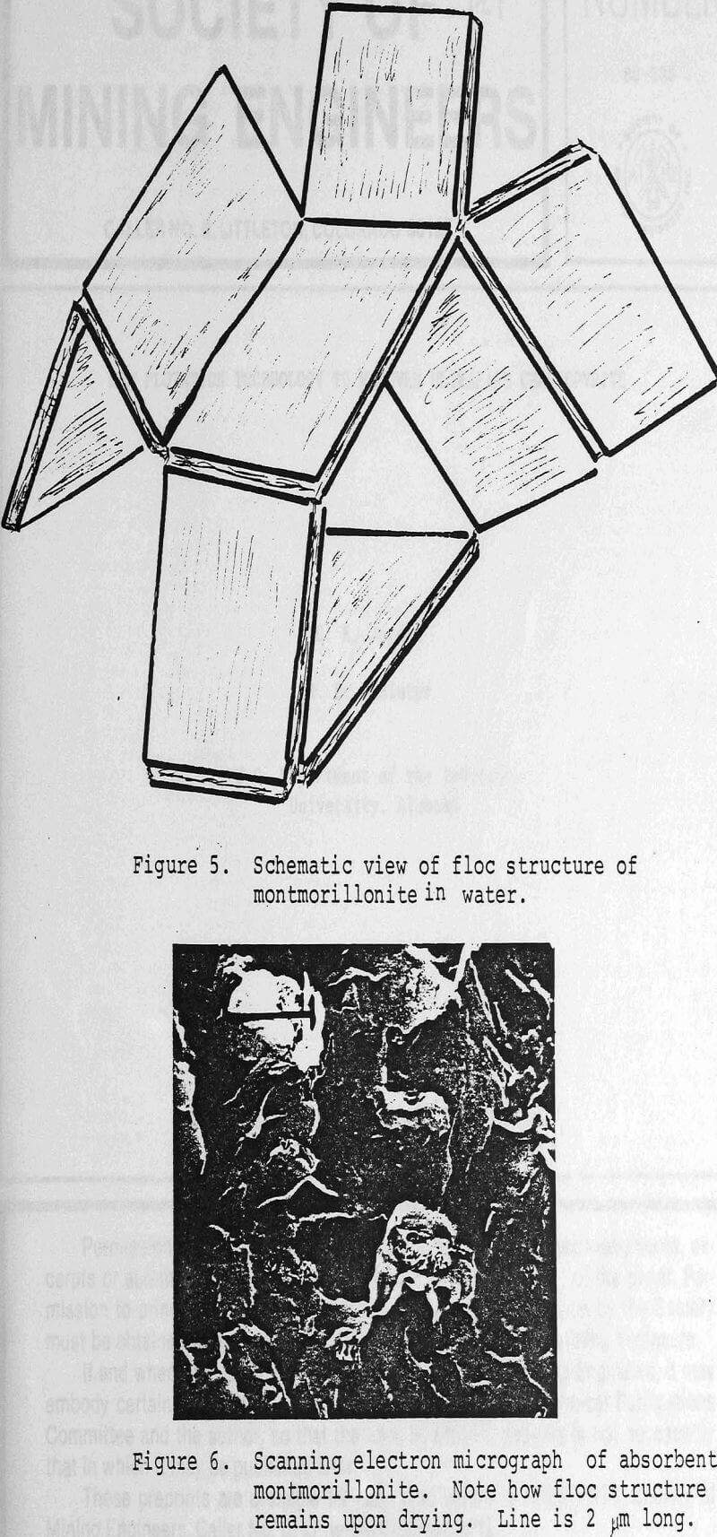 absorbent clays scanning electron micrograph