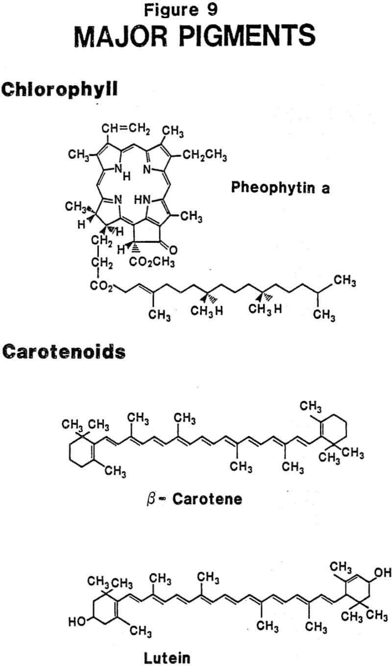 acid activated clay major pigments