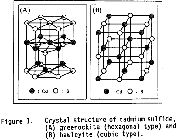 bioleaching-of-cadmium-sulfide-crystal-structure